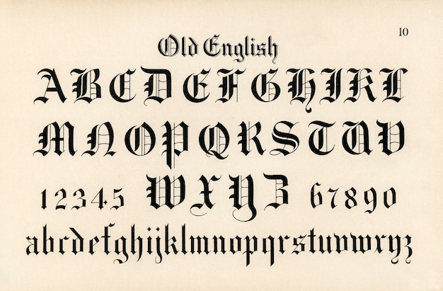 Free photo old english calligraphy fonts from draughtsman's alphabets by hermann esser