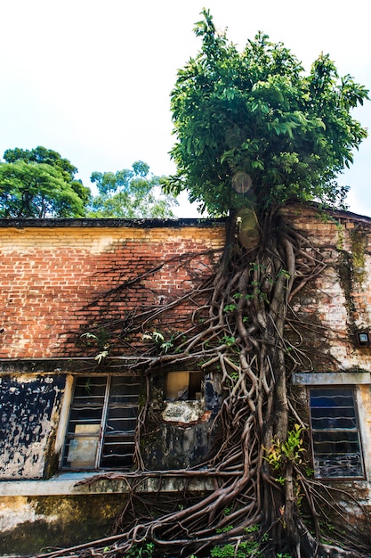 Old factory building