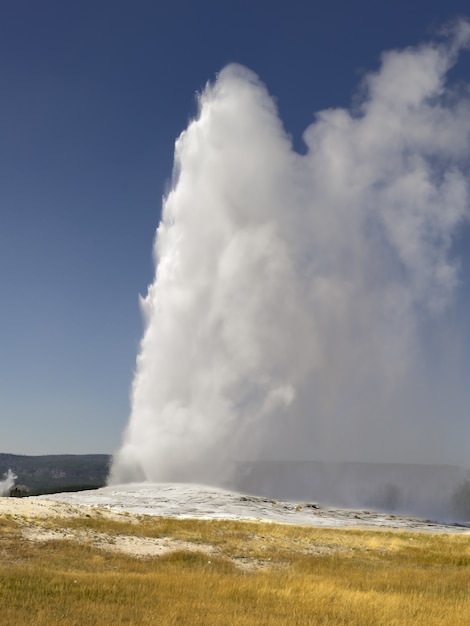 Free photo old faithful