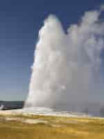 Free photo old faithful