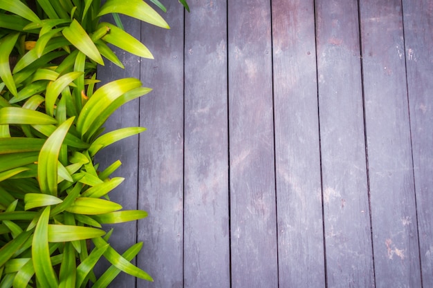 Free photo old grunge wood with green leaves .