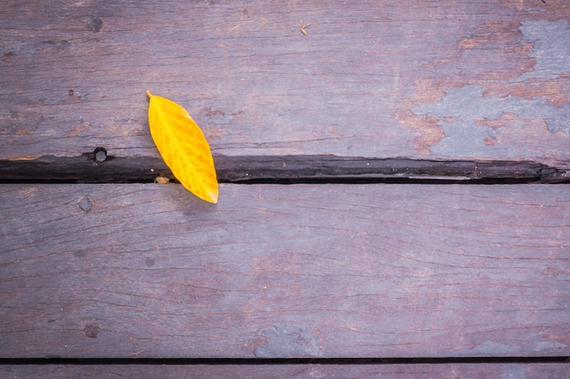 Old grunge wood with leaves .