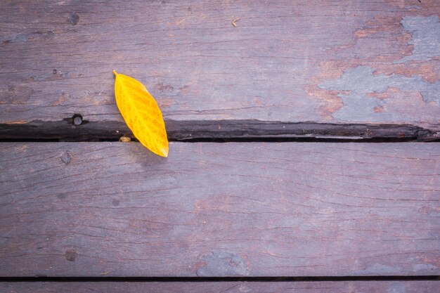 Old grunge wood with leaves .