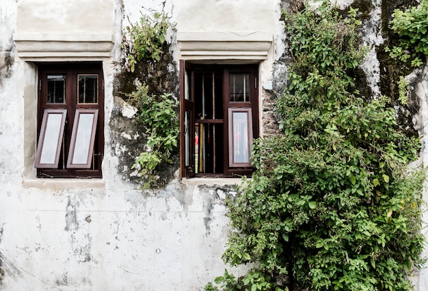 Old houses