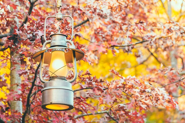 Old lantern with outdoor view in autum season