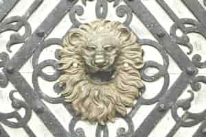 Free photo old lion head door