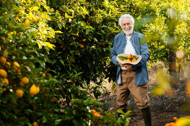 야외에서 그의 오렌지 나무 옆에 서있는 노인
