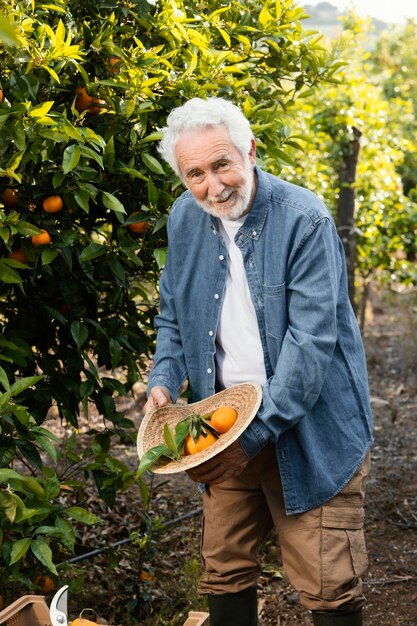 Old man standing next to his orange trees outdoors