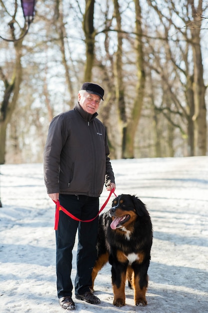 Old man stands with Bernese Mountain Dog on the snow in park