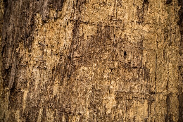 Old natural wood texture