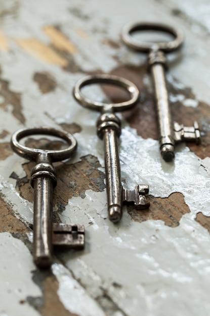 Free photo old ornate keys