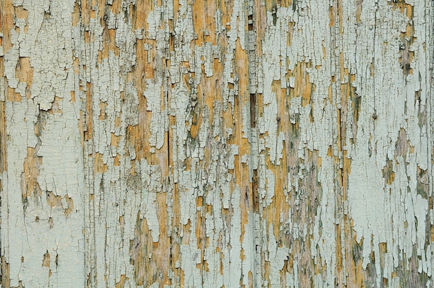 오래 된 페인트 나무, 질감