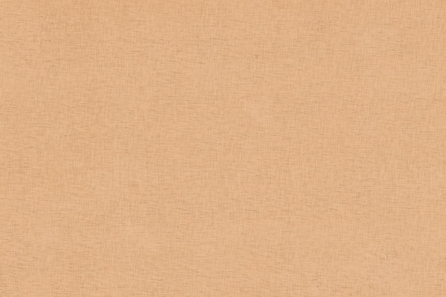 Free photo old papyrus texture background