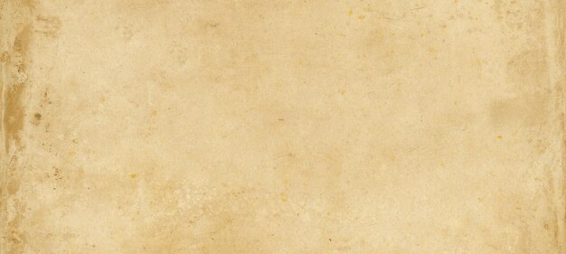 Old parchment paper. horizontal banner texture wallpaper