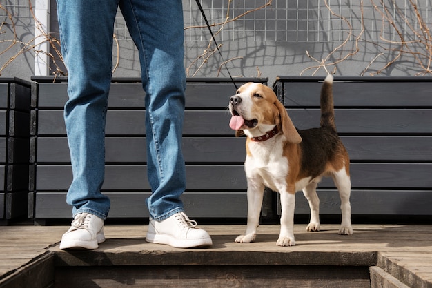 ペットの犬を持つ老人