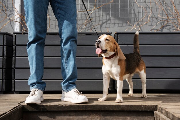 ペットの犬を持つ老人