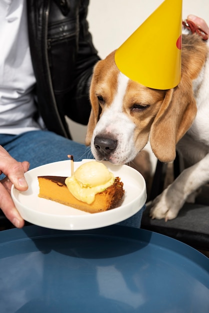 ペットの犬を持つ老人