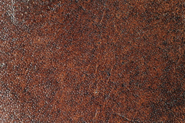 Free photo old rusty iron sheet surfaced background