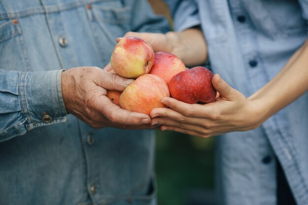 Old senior standing in a summer garden with apples