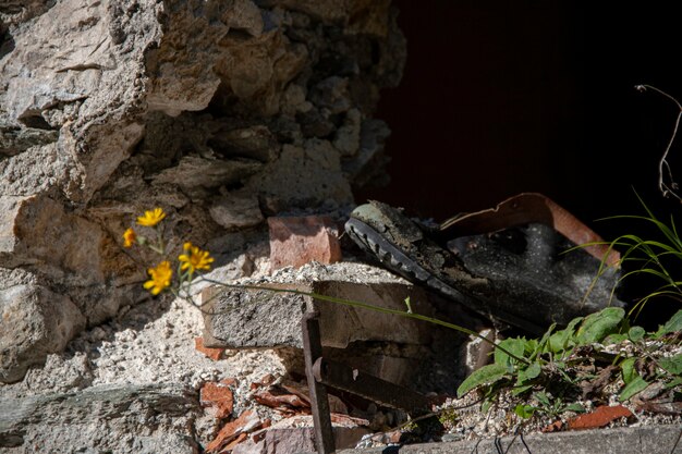 이탈리아 돌로미티의 숲 속에 버려진 낡은 신발