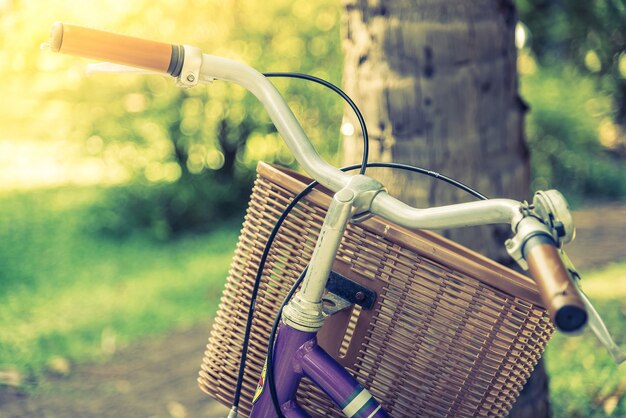 Old vintage bicycle