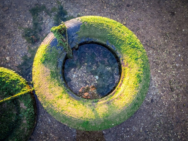 Old weathered tire covered with moss on the sand during daytime