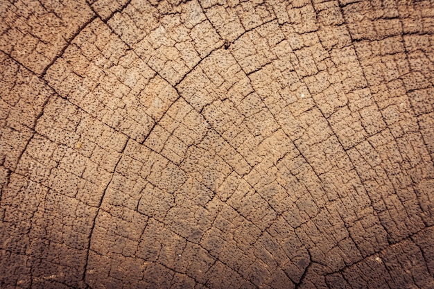 Free photo old wood textures