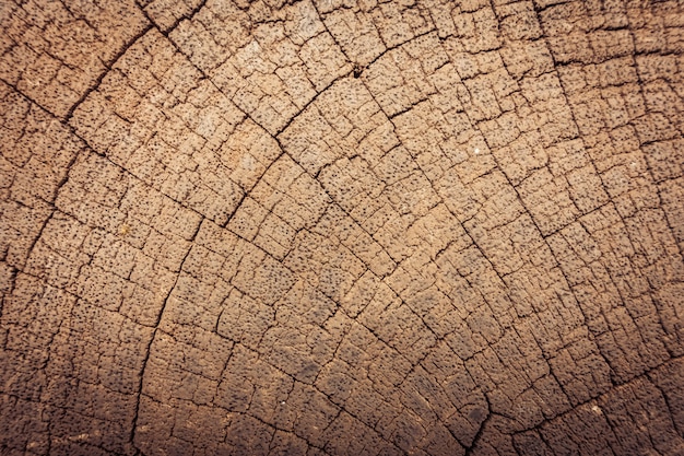Текстуры старого дерева