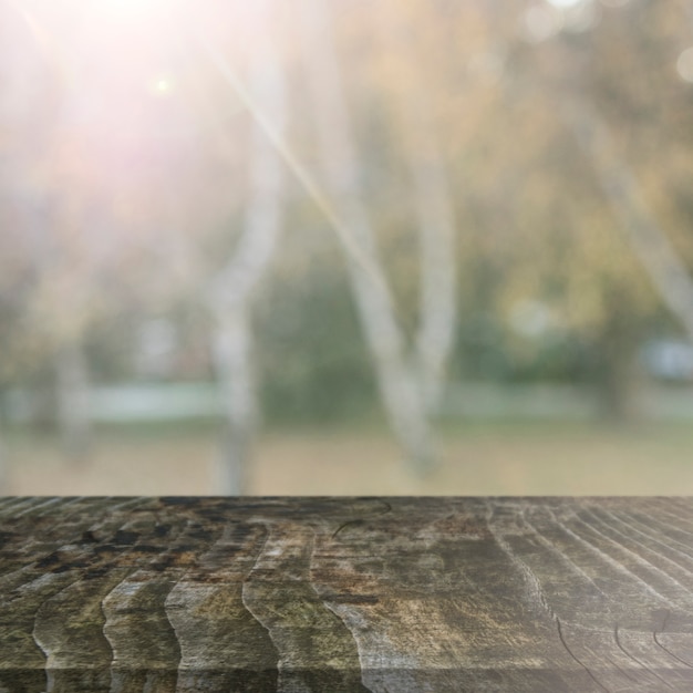 Old wooden table in front of trees during autumn season