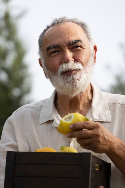 Uomo più anziano che raccoglie i limoni dal suo giardino di campagna