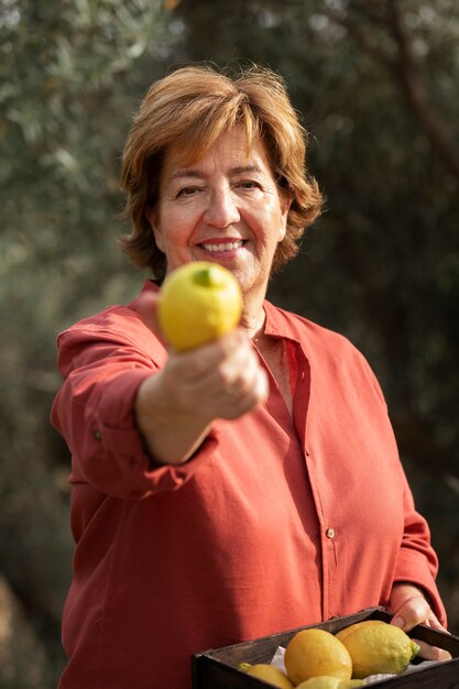 Пожилая женщина собирает лимоны в своем загородном домашнем саду