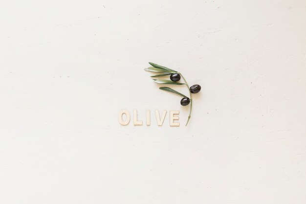 Olive word with branch