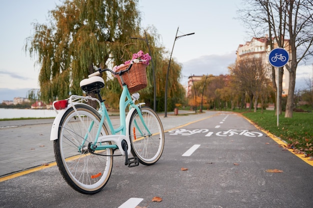 Foto gratuita una bici retrò da donna blu sulla pista ciclabile