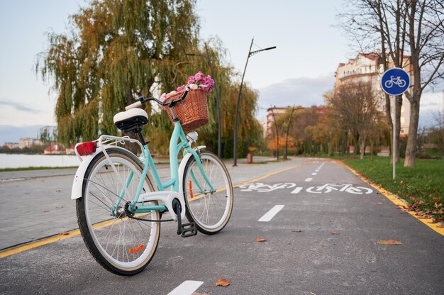 サイクルパス上の1つの青い女性のレトロな自転車