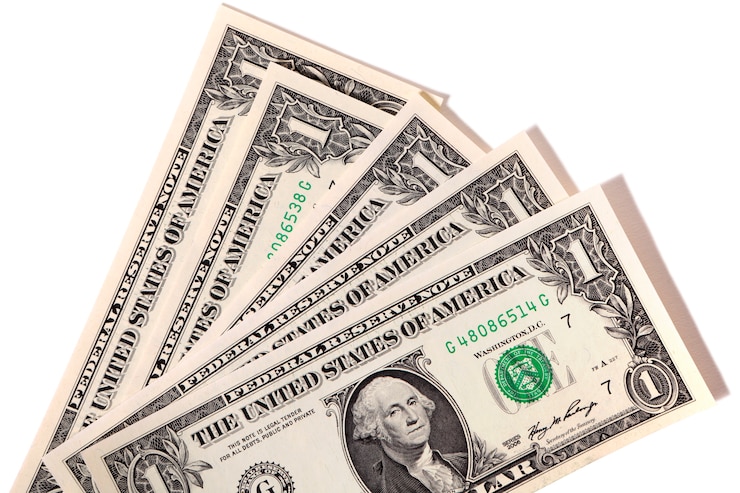 Free Photo one dollar notes