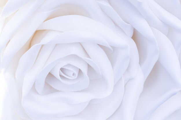 Premium Photo One Huge Large White Decorative Rose