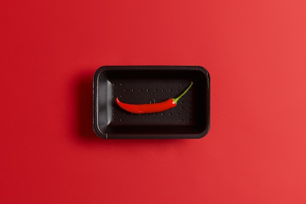 One whole hot long chili pepper on black tray bought at market, isolated over red background. Spicy flavoring ingredient to add for your dishes. Food and vegetables concept. View from above.