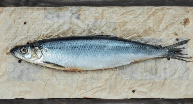 One whole salted atlantic herring on parchment paper