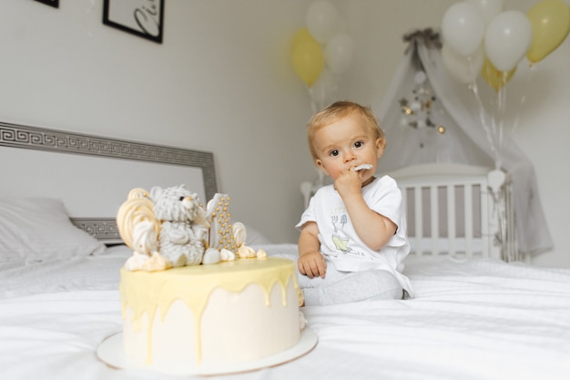 彼の誕生日にホリデーケーキを試飲1歳の男の子