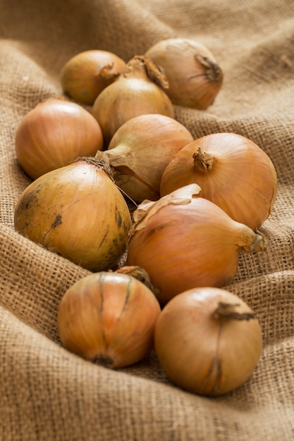 Free photo onions on blanket