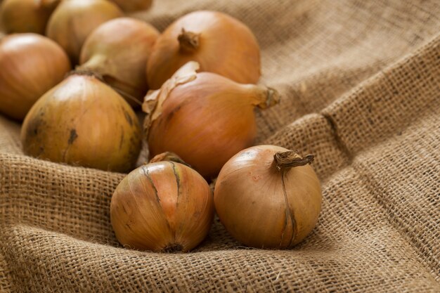 Onions on blanket