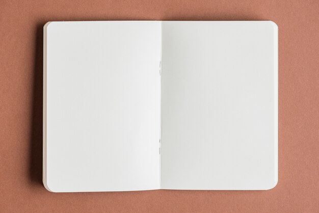Открытая пустая книга на цветном фоне