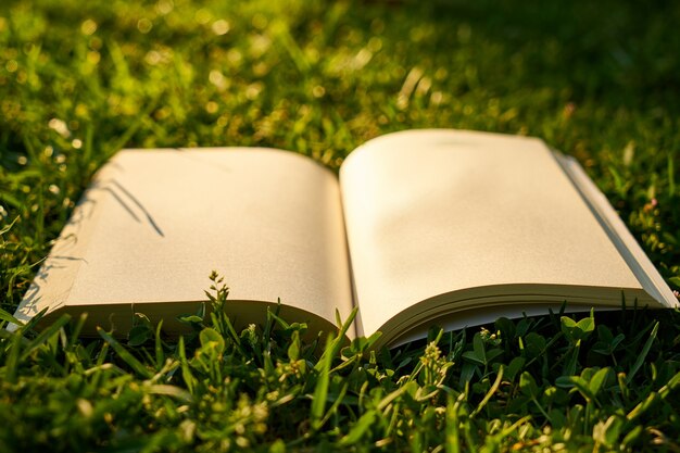 芝生の上で開いた本