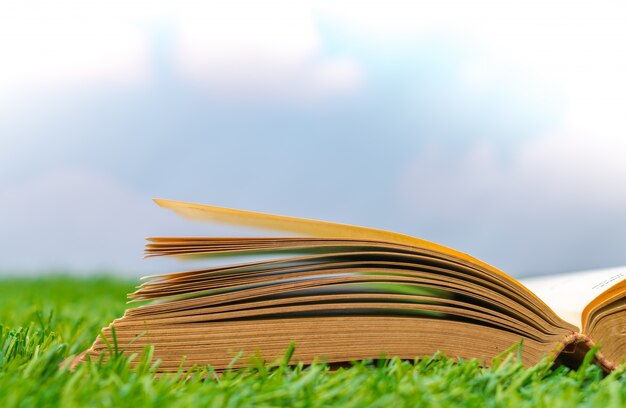 Open book on grass