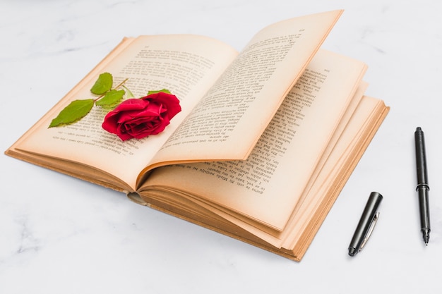 Открытая книга, ручка и роза