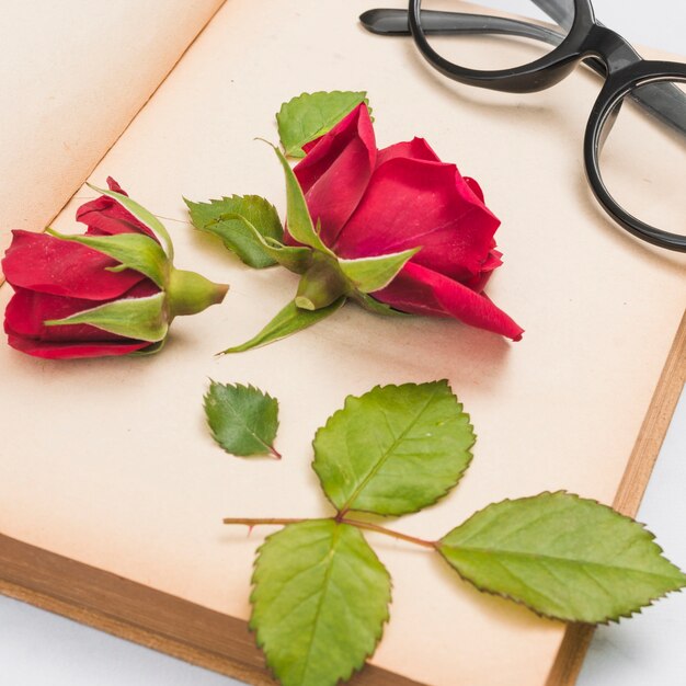 Open book, rose and glasses