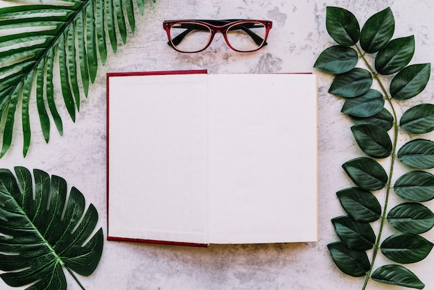 Free photo open book with leaves and glasses