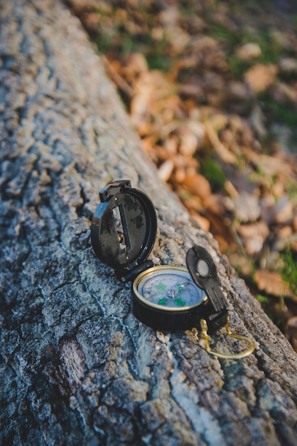 Open compass on a fallen log