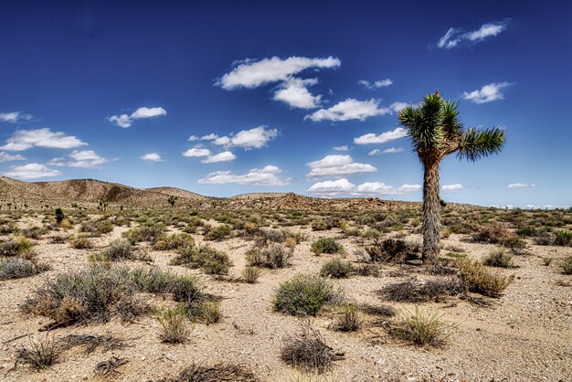 Open desert field with beautiful hills and a cloudy blue sky