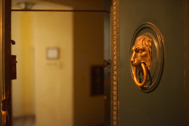 Бесплатное фото Открытая дверь и голова льва